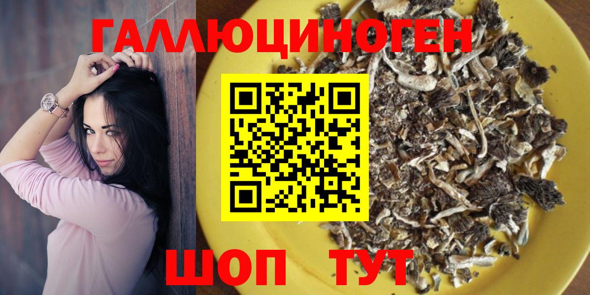 Псилоцибиновые грибы Psilocybine cubensis Борисоглебск
