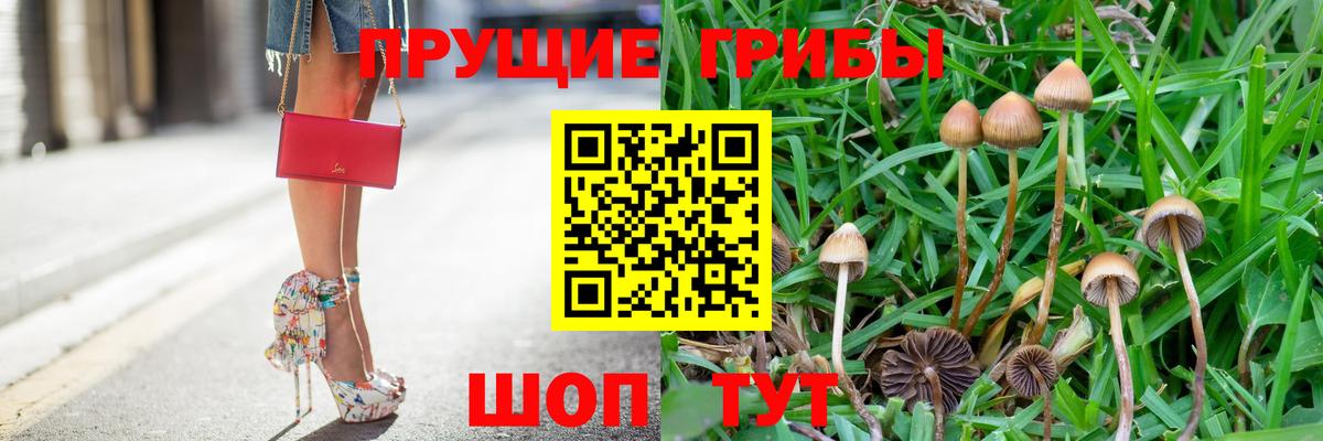 Галлюциногенные грибы прущие грибы  Вход с VPN  Борисоглебск 